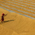 Revolutionizing Indian Agriculture Through Rural Innovation