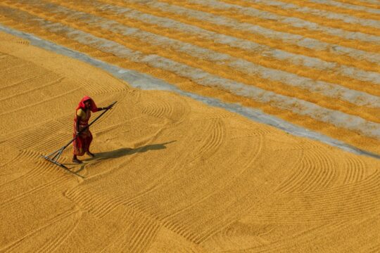 Revolutionizing Indian Agriculture Through Rural Innovation