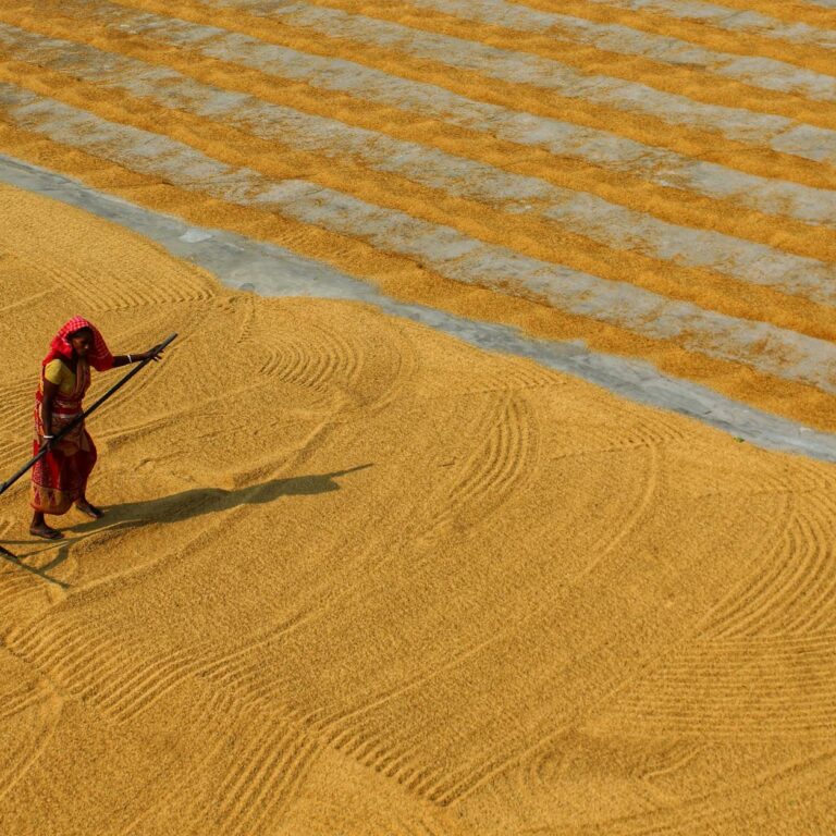Revolutionizing Indian Agriculture Through Rural Innovation