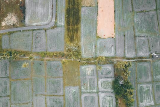 India's Digital Agriculture Revolution Amid Deficient Monsoon Fears