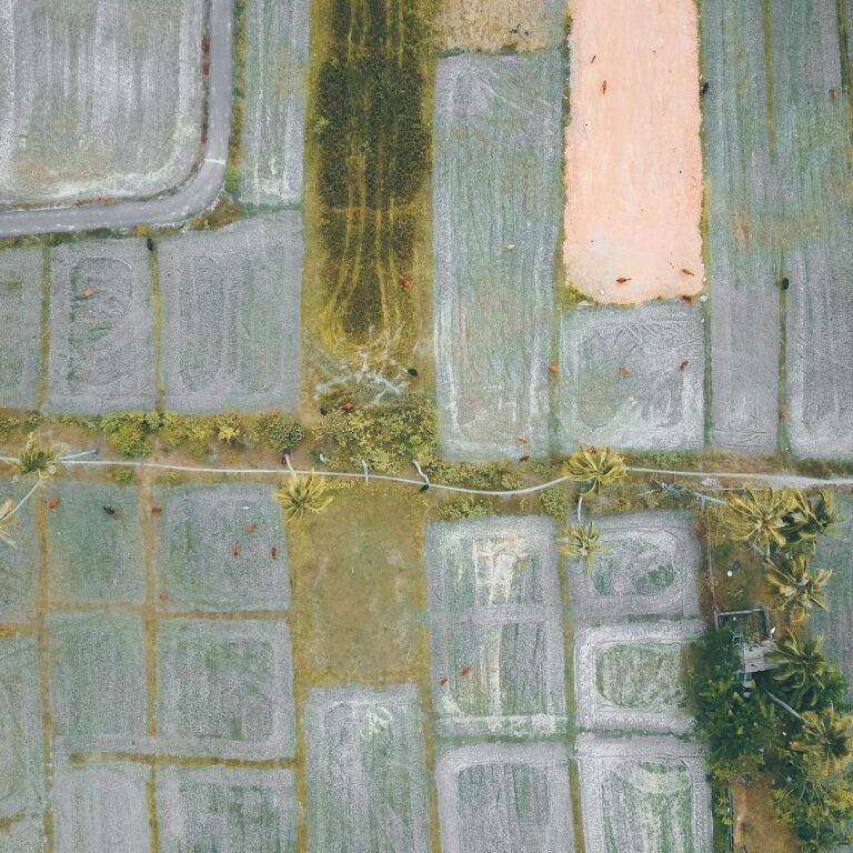 India's Digital Agriculture Revolution Amid Deficient Monsoon Fears