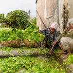 Tribal Agriculture In India: A New Era Of Farming