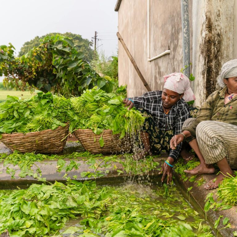 Tribal Agriculture In India: A New Era Of Farming
