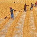 Can Maharashtra-Model Rural Infrastructure Save Bengal's Farming Sector
