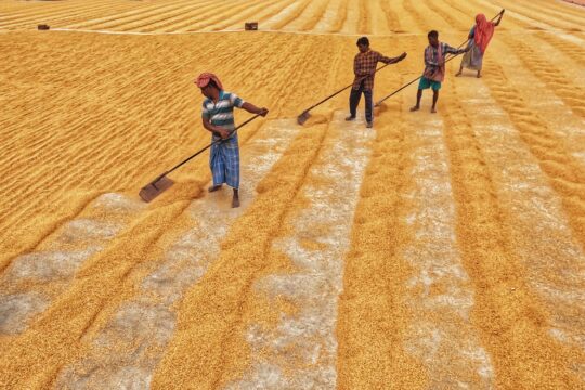 Can Maharashtra-Model Rural Infrastructure Save Bengal's Farming Sector