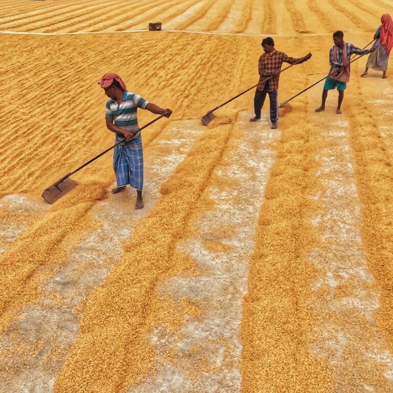 Can Maharashtra-Model Rural Infrastructure Save Bengal's Farming Sector