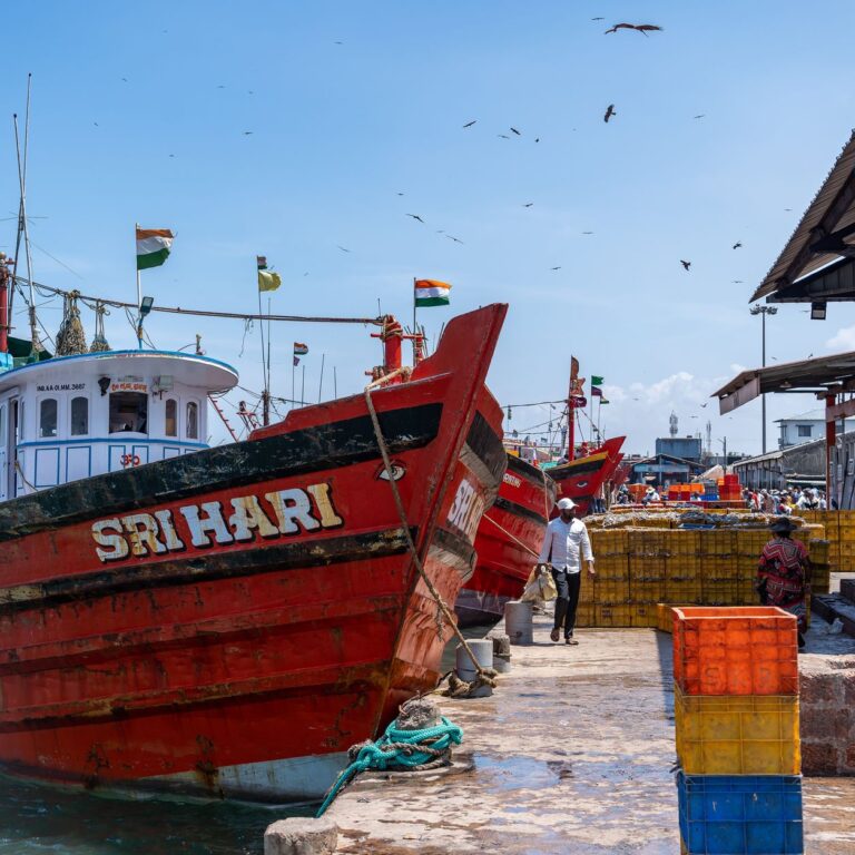 India's Maritime Legacy: A 5000 Year Old Story