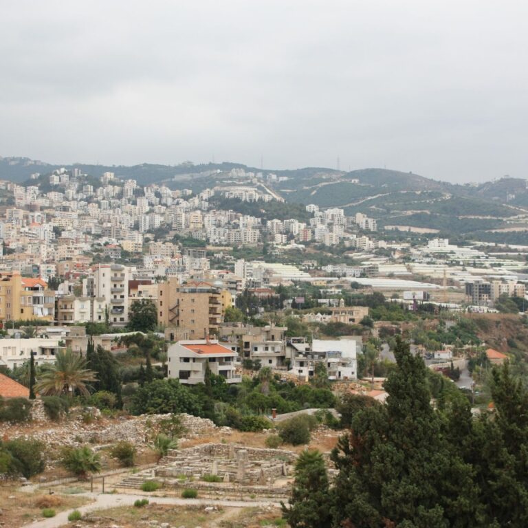 India's Stake in Israel-Lebanon Ceasefire: A Geopolitical Analysis