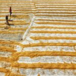 Israel's Iran War Debate: What It Means for India's Rural Innovation