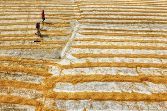 Israel's Iran War Debate: What It Means for India's Rural Innovation