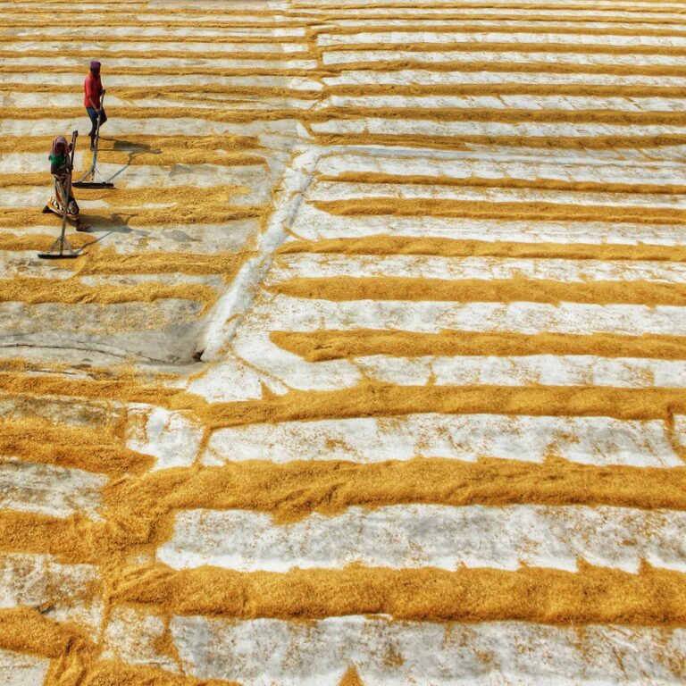 Israel's Iran War Debate: What It Means for India's Rural Innovation