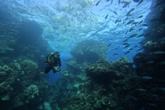 India's Ocean Exploration: Uncovering the Deep Sea Secrets