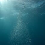 India's Oceanic Aspirations: Unveiling the Deep Sea Potential
