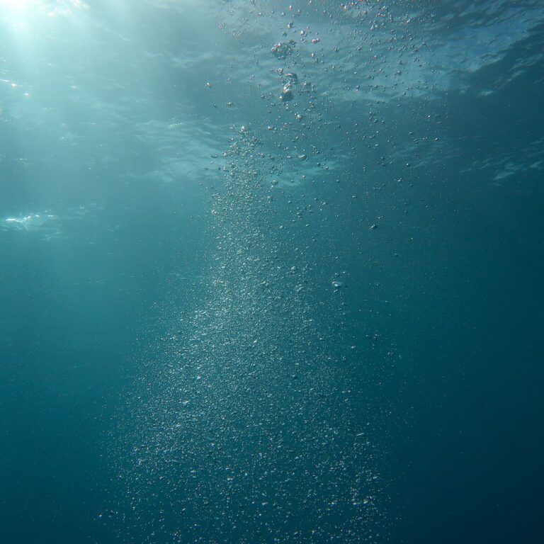 India's Oceanic Aspirations: Unveiling the Deep Sea Potential