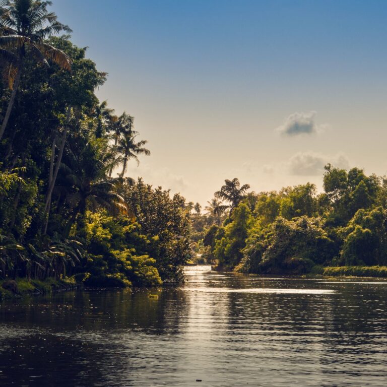Waterways Leisure IPO: A New Wave for Indian Economy