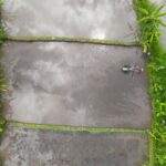 India's Agri-Tech Revolution: Drones and AI to Boost Yields
