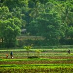 India's Rural Infrastructure Gets Supreme Court Boost