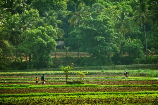 India's Rural Infrastructure Gets Supreme Court Boost
