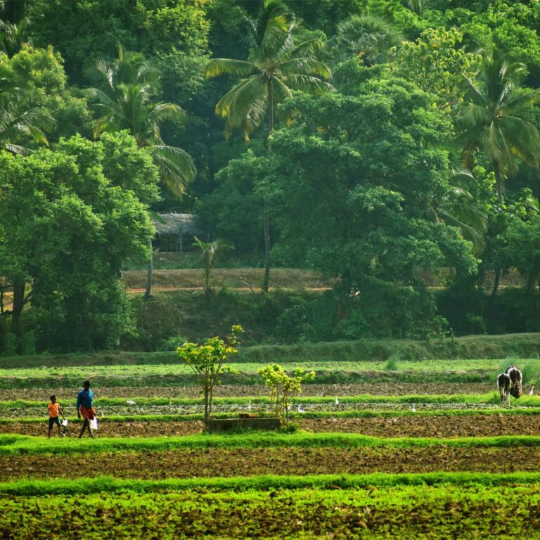 India's Rural Infrastructure Gets Supreme Court Boost