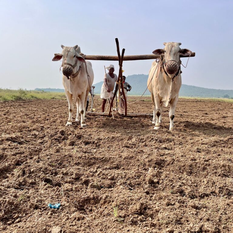 India's Subsidy Row: Minister's Rs 99L Farm Aid Sparks Debate