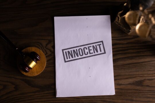 Raja Raghuvanshi Murder Case: India's Judicial System Under Scrutiny