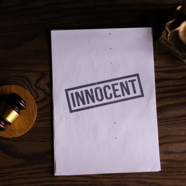 Raja Raghuvanshi Murder Case: India's Judicial System Under Scrutiny