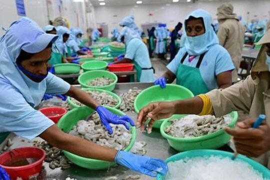 Andhra Pradesh Aqua Farmers Hit Hard by Rising Shrimp Feed Prices