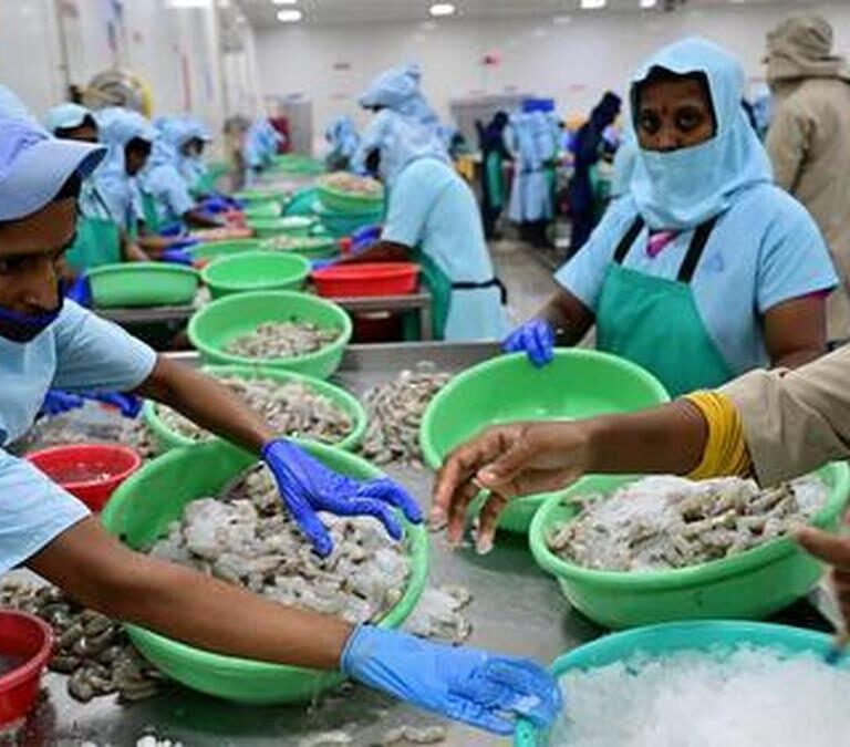 Andhra Pradesh Aqua Farmers Hit Hard by Rising Shrimp Feed Prices