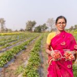 India's Organic Farming Revolution: A New Era for Farmers