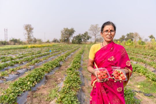 India's Organic Farming Revolution: A New Era for Farmers