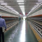 China's Economic Corridor Push: Implications for India's Digital Dominance