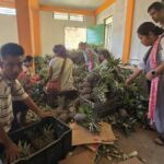 Meghalaya's Tribal Farmers Turn Exporters With Organic Produce