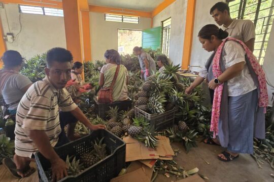 Meghalaya's Tribal Farmers Turn Exporters With Organic Produce