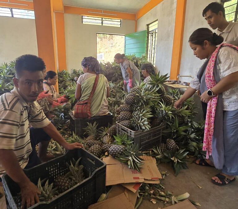 Meghalaya's Tribal Farmers Turn Exporters With Organic Produce