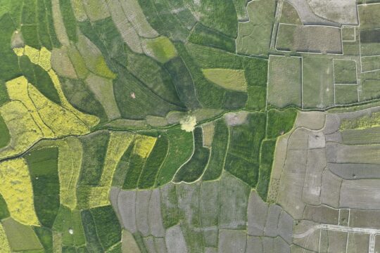 Indian Farmers Leverage Drones to Boost Crop Yields