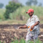 Trump's Trade War: What It Means for Indian Farmers and Soil Health