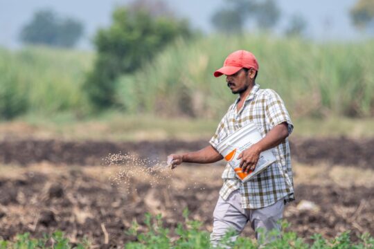 Trump's Trade War: What It Means for Indian Farmers and Soil Health