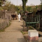India's Rural Infrastructure Challenges Exposed by Shabad Murder Case