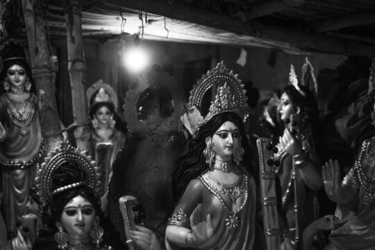 Dhar's Saraswati Unveiled: 900-Year Mix-Up Corrected