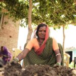 Myanmar's Forgotten Leader: Lessons for India's Organic Farming