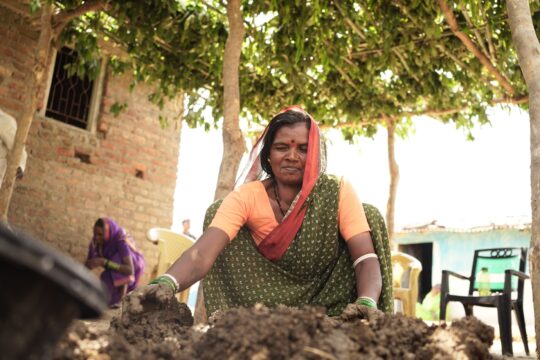 Myanmar's Forgotten Leader: Lessons for India's Organic Farming