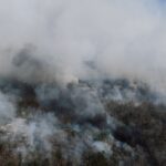 Trump's Tariff Threat Over Wildfire Smoke: What It Means For India
