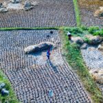 Sonam Wangchuk's Fast Sparks Debate on Ladakh's Agricultural Future