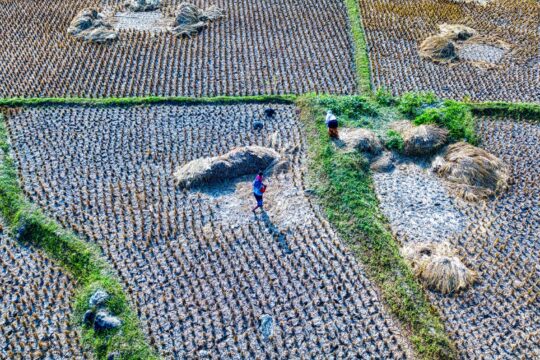 Sonam Wangchuk's Fast Sparks Debate on Ladakh's Agricultural Future