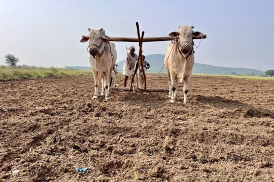 Soil Health Crisis: How India's Farmers Can Learn from Global Best Practices