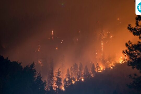 Zacharias Fire in California: What It Means for India's Growing Ties with Southeast Asia