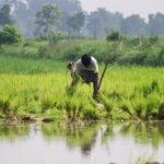 Patna NEET Protest: Water Crisis in Indian Agriculture