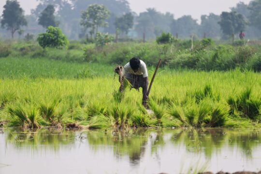 Patna NEET Protest: Water Crisis in Indian Agriculture