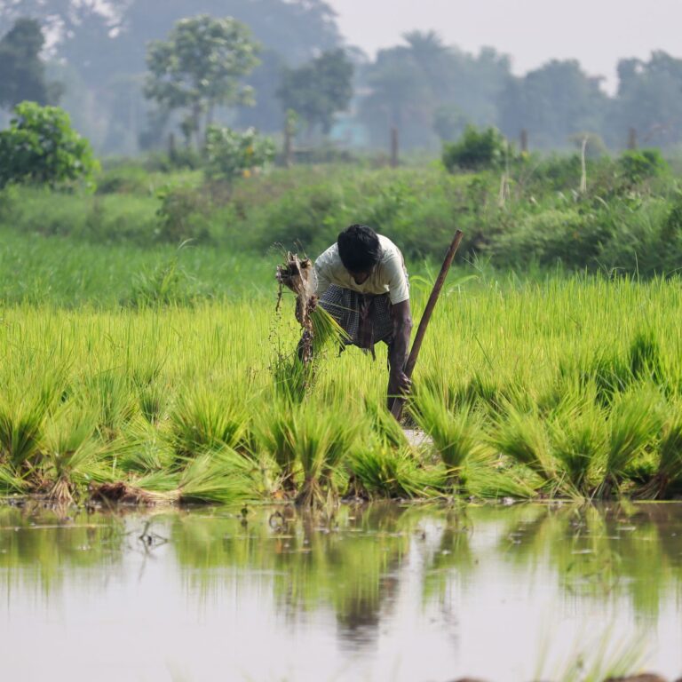 Patna NEET Protest: Water Crisis in Indian Agriculture
