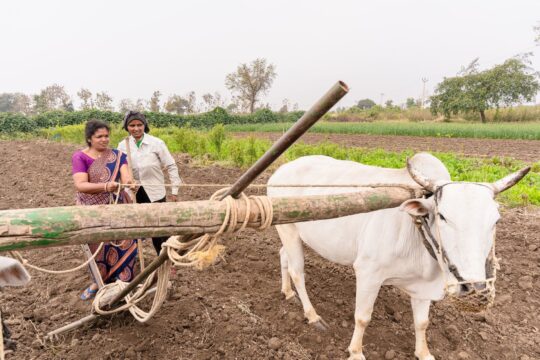 How India's Agri Policy Impacts Farmers' Livelihoods